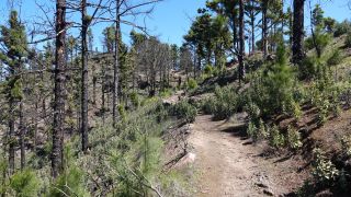 2022-03-GranCan-Mirador_Sargento-Trekking-PM-NN-40.JPG
